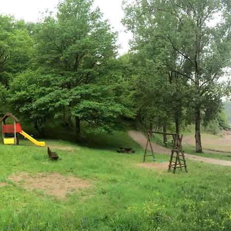 Comfortable Holiday Home Near The Lake Beaulieu (Cantal) Exterior foto